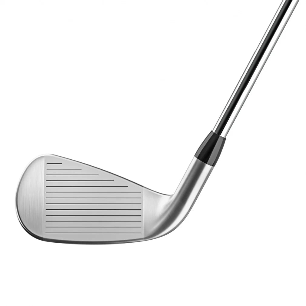 Titleist T400 Iron Set N.S. PRO 880 AMC Flex S