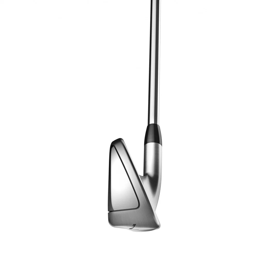 Titleist T400 Iron Set N.S. PRO 880 AMC Flex S