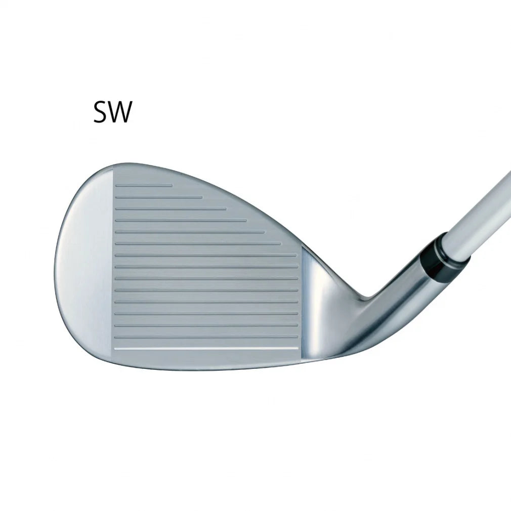 BRIDGESTONE GOLF B-LD Women's Iron Set 5pc (7-SW) Flex L