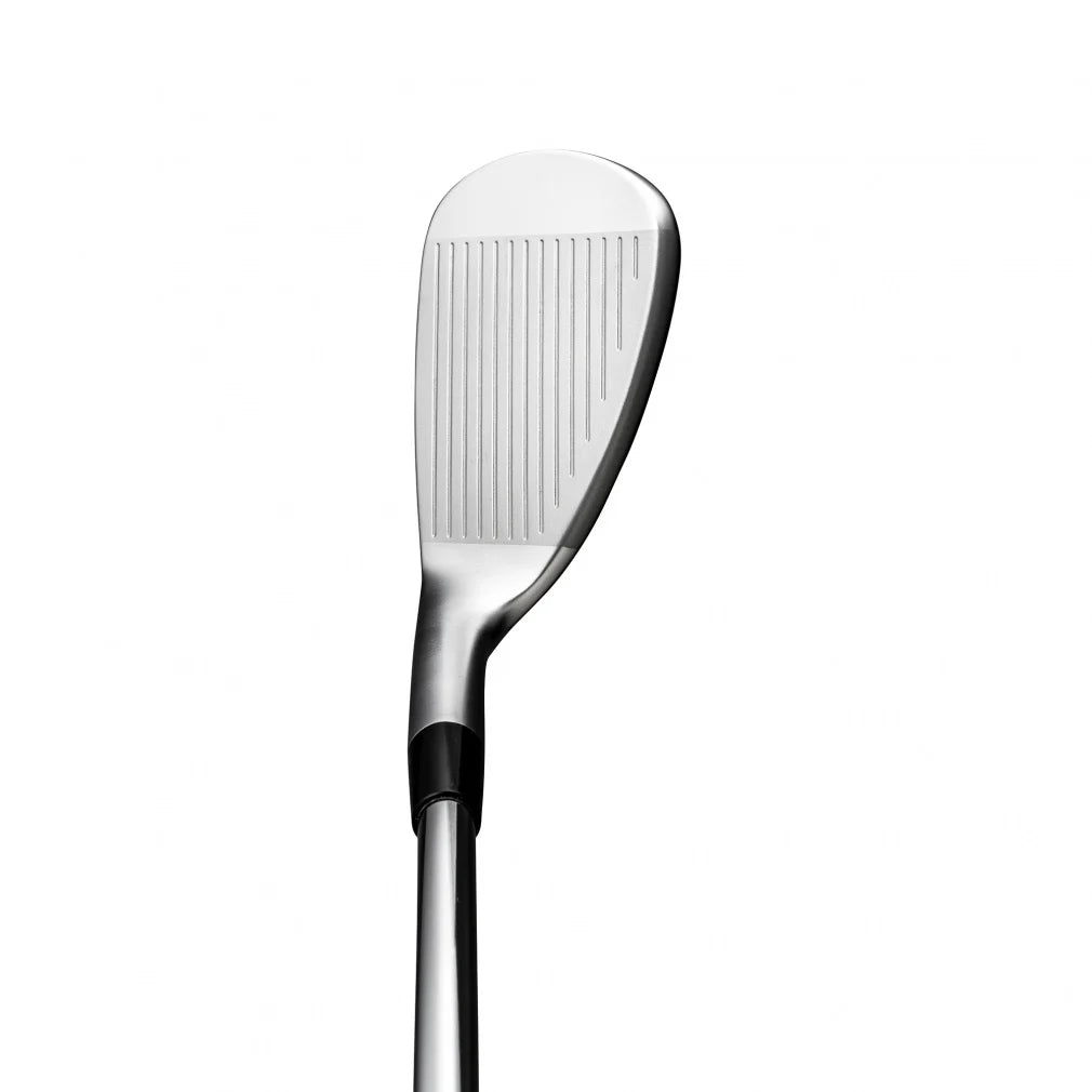 MIZUNO JPX 925 HOT METAL PRO Iron Set 5pc (6-PW) N.S.PRO MODUS3 TOUR105 Flex S