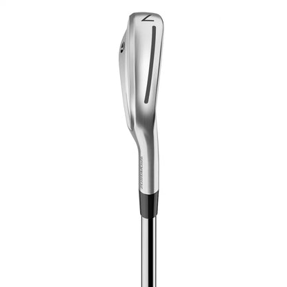 TaylorMade P770 Iron Set 5pc (6-PW) Dynamic Gold MID 115 Flex S200
