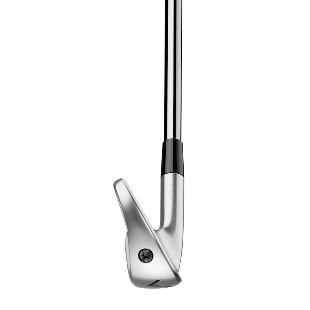 TaylorMade P790 (2025) Iron Set 6pc (5-PW) N.S.PRO 950GH neo Flex S