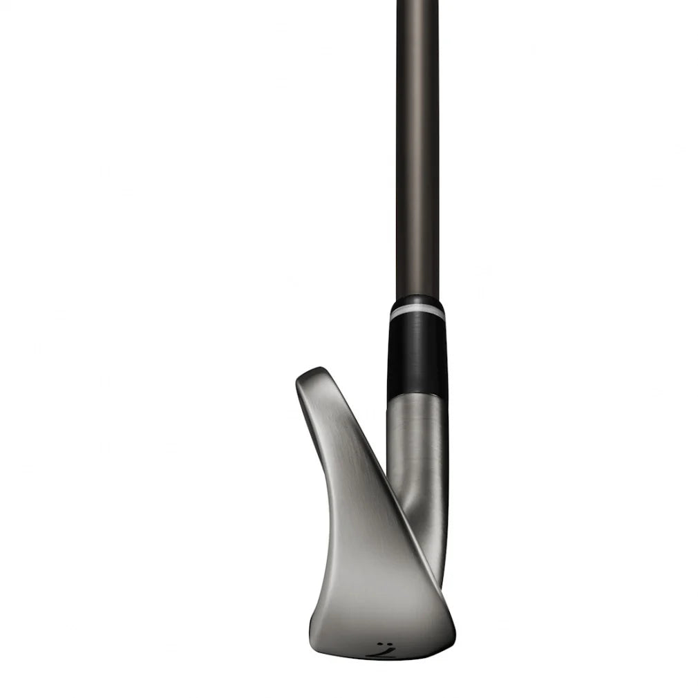 PRGR 04 Limited Black Edition Iron Set 5pc (7-AW) SPEC STEEL III ver.2 Luxury Black Flex M40
