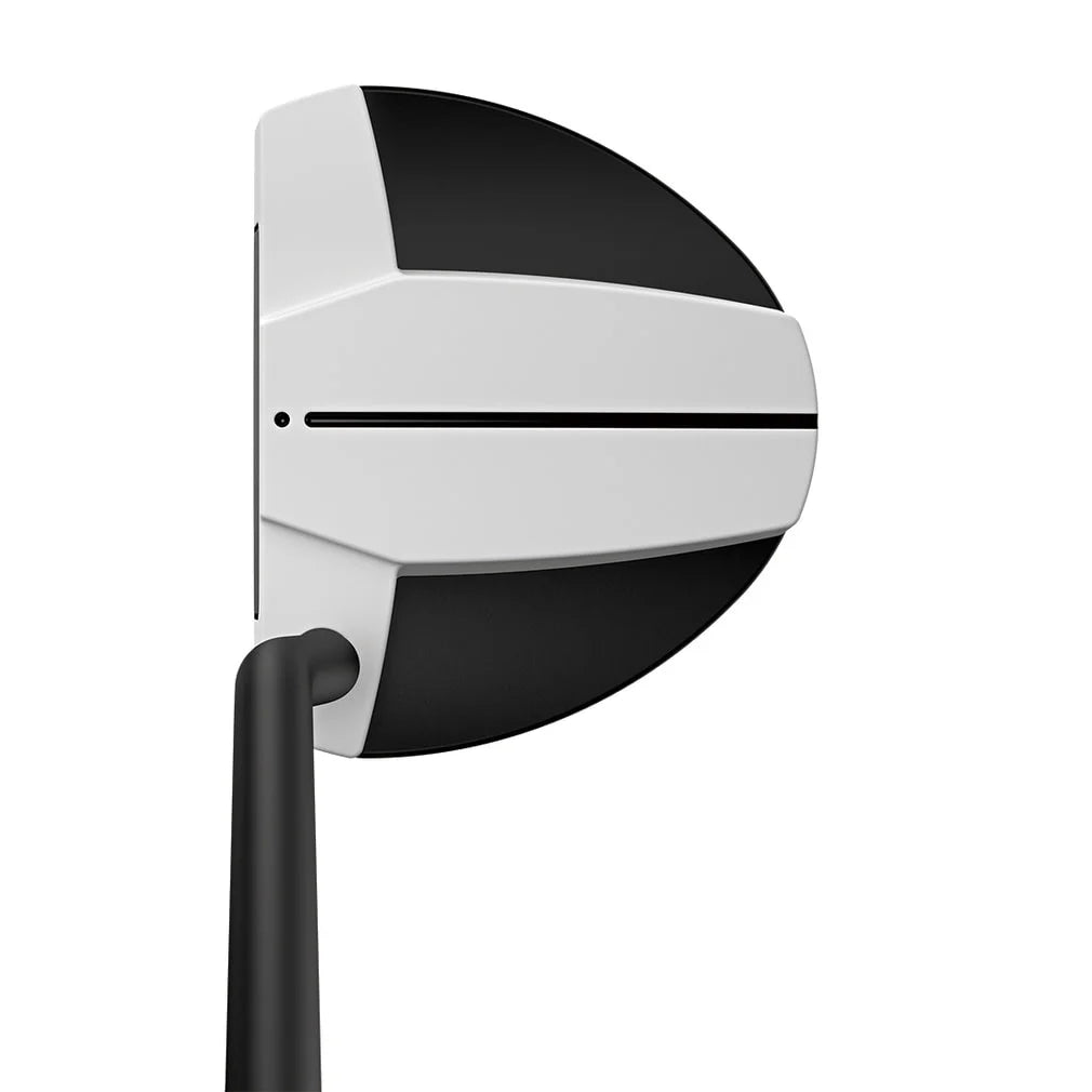 PING SCOTTSDALE TEC HAYDEN Neo-Mallet Bent Neck Putter 34"